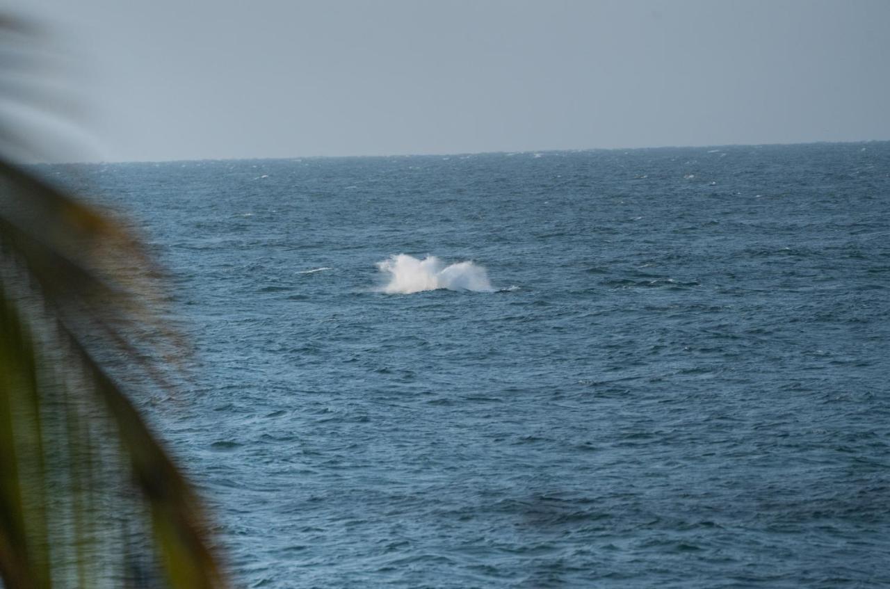 Los Corales Mancora Εξωτερικό φωτογραφία