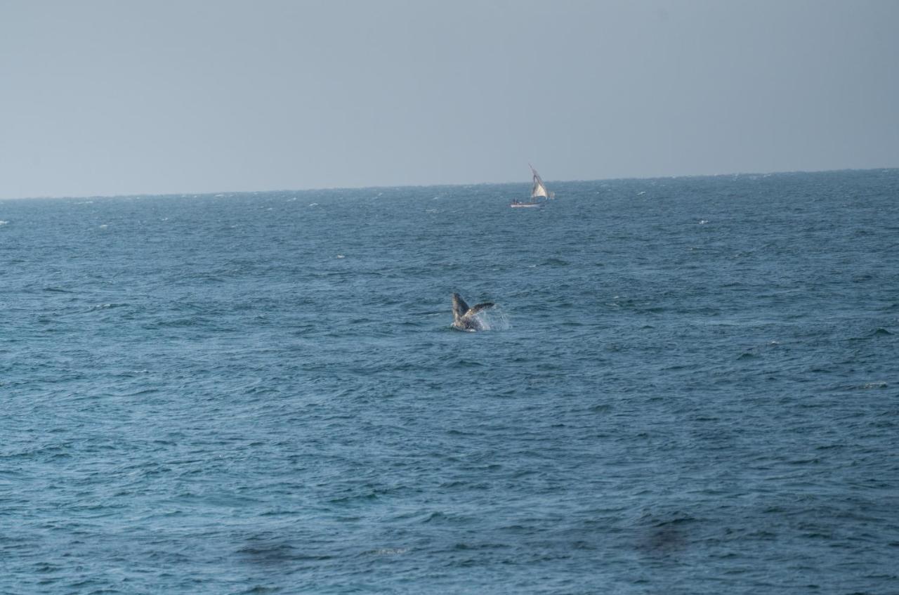 Los Corales Mancora Εξωτερικό φωτογραφία